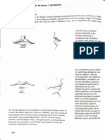 Y Y, Observe S - Ojos - , - Verse .: de Los La Lue Lo Detalle Intente Lado No Un Modelo La 1 D para para Una Detalle