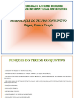 Morfologia Do Tecido Conjuntivo Origem, Forma e Função: Universidade Anhembi Morumbi Laureate International Universities