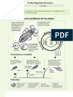 Prueba Diagnóstica de Lectura 1ro