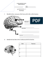 Science Activity 7