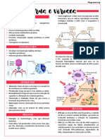 Vírus e viroses: estrutura, replicação e principais doenças