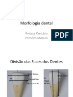 Morfologia Dental Terços Faces Dentes