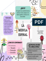La Medula Espinal (Organizador Visual) Semana1