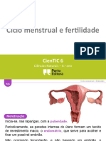 Ciclo Menstrual E Fertilidade: Cientic 6