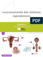 Funcionamento dos sistemas reprodutores