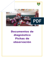 Documento de Diagnostico de Fichas de Observacion