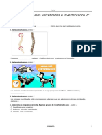 Animales Vertebrados e Invertebrados 2°