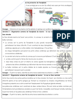 Activités L1 - L2