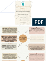 Procesos de La Vida Del Delito