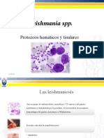 Leishmania SPP.: Protozoos Hemáticos y Tisulares