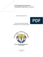 Informe de Practica de Laboratorio 1. Extracción de Genitalia de Hippodamia Convergens