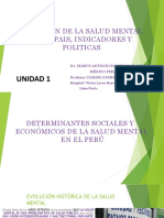 Situacion de La Salud Mental en El Pais, Indicadores y Politicas