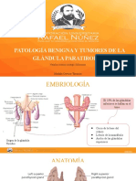 Patología Benigna Y Tumores de La Glándula Paratiroides: Natalia Cristina Arango Solórzano