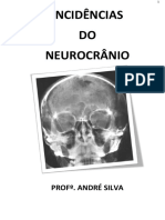 Incidências do neurocrânio: marcos topográficos e técnicas de radiografia