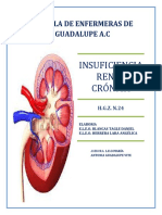 Insuficiencia Renal Crónica: Escuela de Enfermeras de Guadalupe A.C