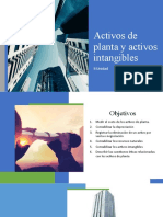 Activos de Planta - Activos Intagibles