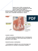 GERIATRIA