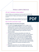 Sistema Linfatico Ii: ¿Por Qué Es Importante El Sistema Linfático?