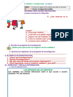 Ciencia - Los Sentidos - Ficha