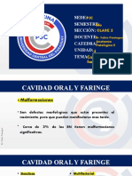 Clase 2 - Unidad 4 - Cavidad Oral y Faringe