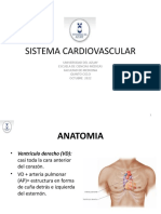 Sistema Cardiovascular: Universidad Del Azuay Escuela de Ciencias Médicas Facultad de Medicina Quinto Ciclo Octubre 2022