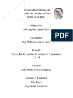 UC Honduras trabajo algebra lineal ejercicios 1,2,4