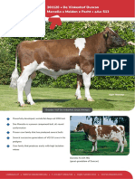 De Vinkenhof Duncan MRIJ Bull from Proven Danielle Cow Family