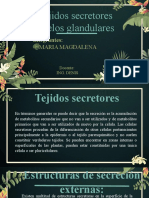 Tejidos Secretores y Pelos Glandulares