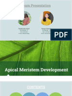 Apical Meristem Development - BT1 - 2