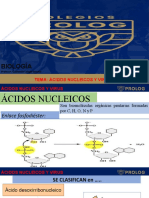 4º. Ácidos Nucleicos y Virus - Guillermo Campó