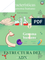 Características: Del Genoma Humano