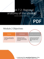 Week 7.2: Regional Anatomy of The Spine #2