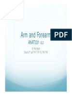 Arm and Forearm: ANAT331