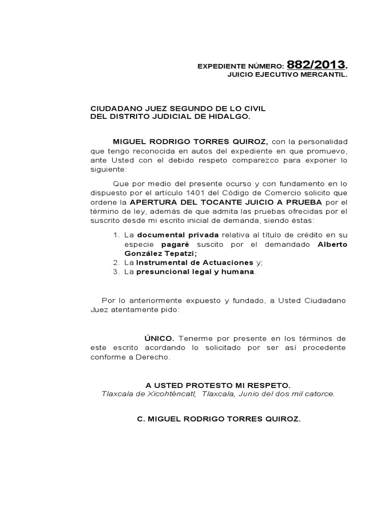 Escrito Solicitando Apertura de Periodo Probatorio Rodrigo Torres