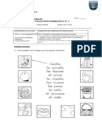 Prueba Uso C