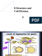 Cell Structure and Division