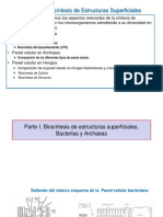 Unidad 1. Biosíntesis de Estructuras Superficiales. Parte I