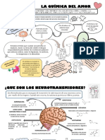 La Química Del Amor: ¿Sabias Que?
