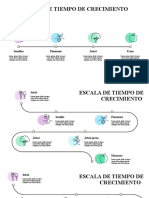 Escala de Tiempo de Crecimiento: Semillas Plantones Árbol Fruta