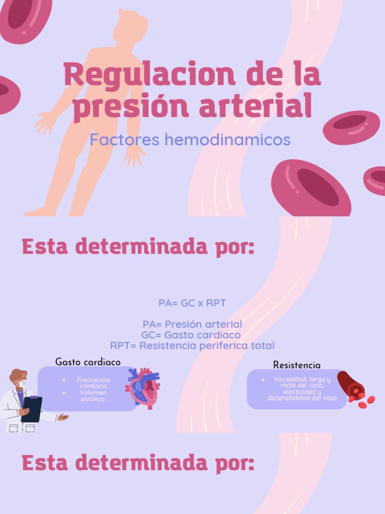 Regulacion de La Presión Arterial | PDF