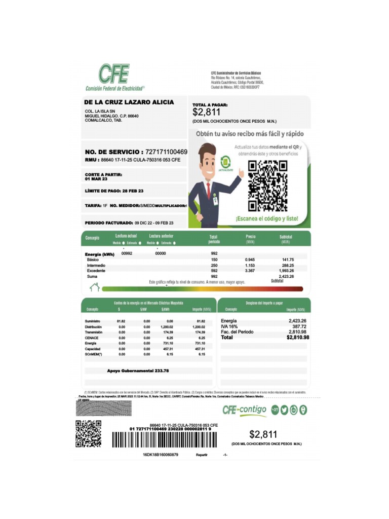 Recibo De Luz Descargar Gratis Pdf Energia Electrica