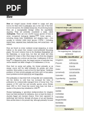 Bee