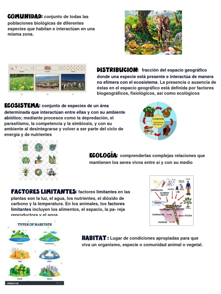Conceptos Clave de Ecología | PDF | Entorno natural | Organismos