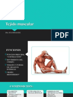 Tejido Muscular: Dra. Rita Hernández