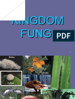 KINGDOM FUNGI  (3)