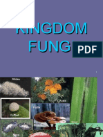 Kingdom Fungi