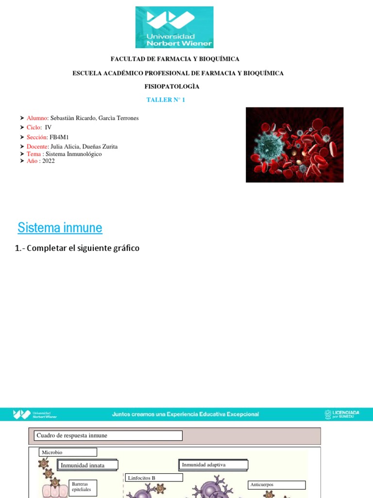 Taller 1 Inmunologia Pdf Sistema Inmune Linfocitos