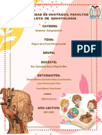 °regiones de La Boca-Palatina - Sublingual-Gingivodentaria - Tonsilar