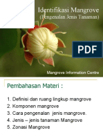 (Pengenalan Jenis Tanaman) : Identifikasi Mangrove