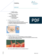 Pose de Sonde Vésicale